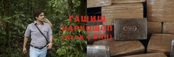 индика Мурманск