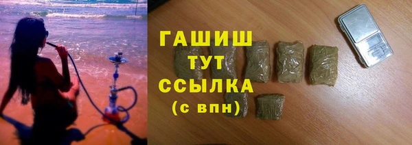 индика Мурманск