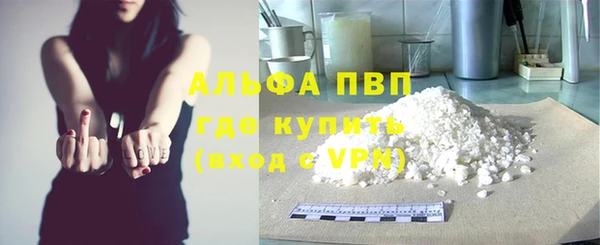 индика Мурманск