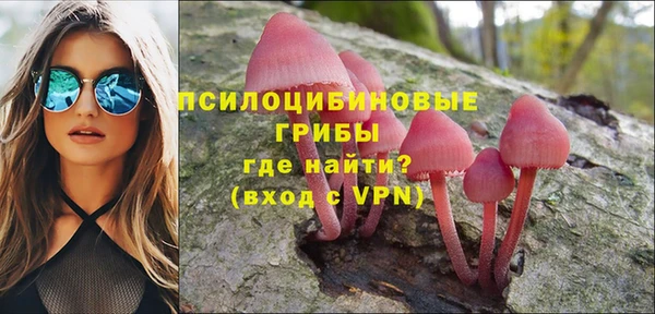 дживик Заволжье