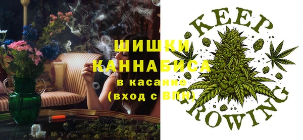 бошки Кулебаки
