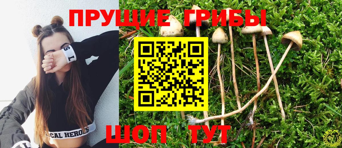 Галлюциногенные грибы Psilocybine cubensis  Галлюциногенные грибы мицелий  Вход с VPN  Смоленск 